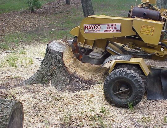 Stump Grinding-Royal Palm Beach Tree Trimming and Tree Removal Services-We Offer Tree Trimming Services, Tree Removal, Tree Pruning, Tree Cutting, Residential and Commercial Tree Trimming Services, Storm Damage, Emergency Tree Removal, Land Clearing, Tree Companies, Tree Care Service, Stump Grinding, and we're the Best Tree Trimming Company Near You Guaranteed!