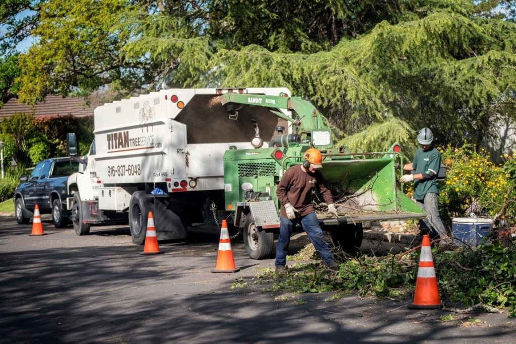 Residential Tree Services-Royal Palm Beach Tree Trimming and Tree Removal Services-We Offer Tree Trimming Services, Tree Removal, Tree Pruning, Tree Cutting, Residential and Commercial Tree Trimming Services, Storm Damage, Emergency Tree Removal, Land Clearing, Tree Companies, Tree Care Service, Stump Grinding, and we're the Best Tree Trimming Company Near You Guaranteed!