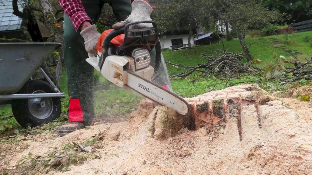 Stump Grinding & Removal-Royal Palm Beach Tree Trimming and Tree Removal Services-We Offer Tree Trimming Services, Tree Removal, Tree Pruning, Tree Cutting, Residential and Commercial Tree Trimming Services, Storm Damage, Emergency Tree Removal, Land Clearing, Tree Companies, Tree Care Service, Stump Grinding, and we're the Best Tree Trimming Company Near You Guaranteed!