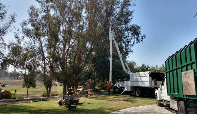Commercial Tree Services Royal Palm Beach-Pro Tree Trimming & Removal Team of Royal Palm Beach