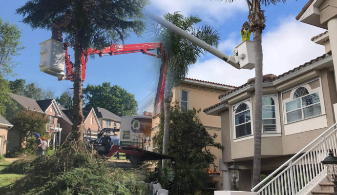 Residential-Tree-Services-Affordable-Pro-Tree-Trimming-Removal-Team-of-Royal Palm Beach