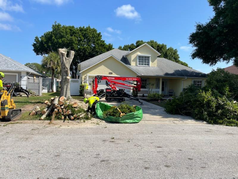Residential Tree Services Royal Palm Beach-Pro Tree Trimming & Removal Team of Royal Palm Beach