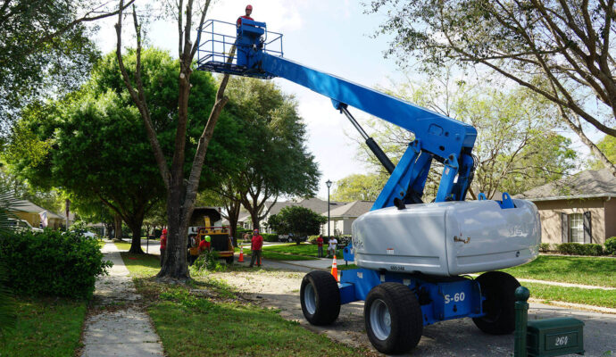 Royal Palm Beach Residential Tree Services-Pro Tree Trimming & Removal Team of Royal Palm Beach
