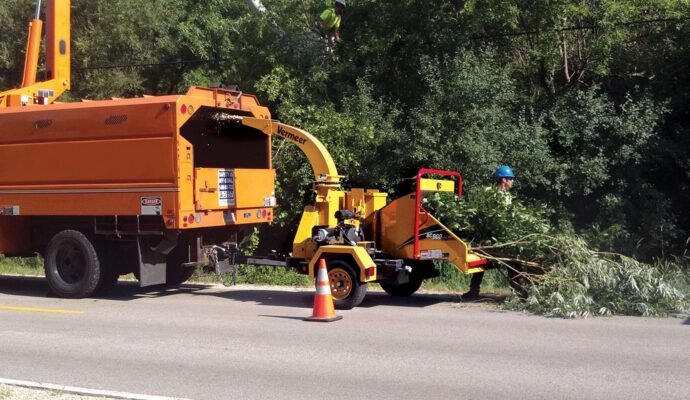 Commercial Tree Services-Experts-Pro Tree Trimming & Removal Team of Royal Palm Beach