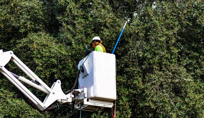 Commercial-Tree-Services-Services Pro-Tree-Trimming-Removal-Team-of- Royal Palm Beach