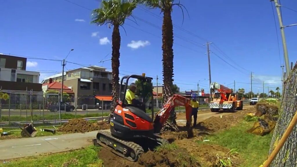 Palm Tree Removal-Experts-Pro Tree Trimming & Removal Team of Royal Palm Beach