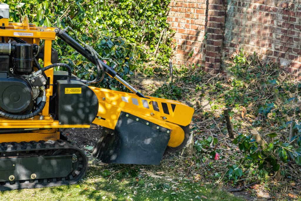 Stump Grinding-Experts-Pro Tree Trimming & Removal Team of Royal Palm Beach