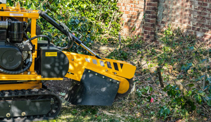 Stump Grinding-Pros-Pro Tree Trimming & Removal Team of Royal Palm Beach