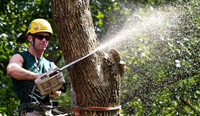 Tree Trimming-Experts-Pro Tree Trimming & Removal Team of Royal Palm Beach